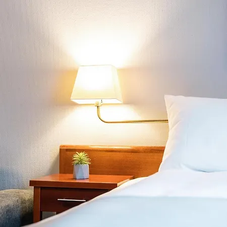 Hotel Froken Skjolds Lyngengarden Mosjøen