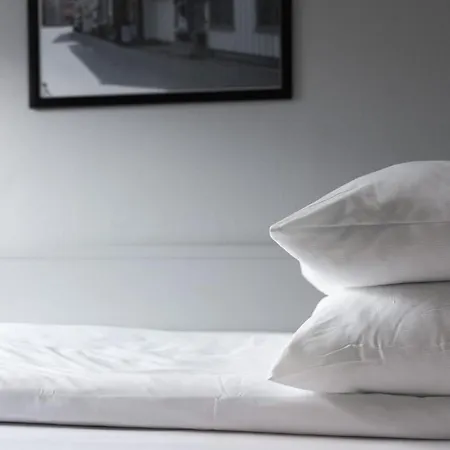 Hotel Froken Skjolds Lyngengarden 3*