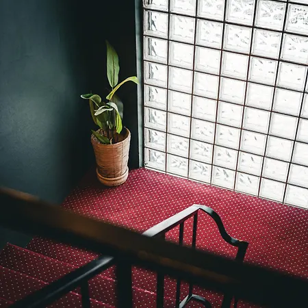 Froken Skjolds Lyngengarden 3*