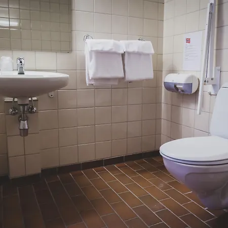Froken Skjolds Lyngengarden Hotel 3*