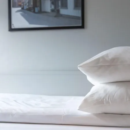 Froken Skjolds Lyngengarden Hotel