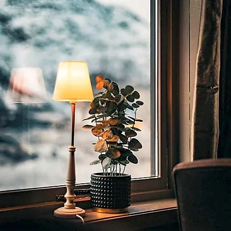 Froken Skjolds Lyngengarden Hotel 3*